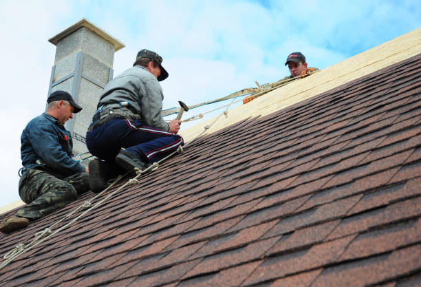 Best Best Roofing Contractors  in Cavalier, ND